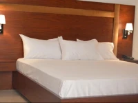 Intellectual Inn 