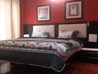 Unique Executive Apartment 