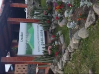 Boquete Forever 3*