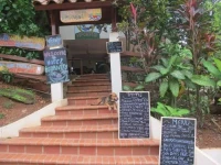 Hotel Iguanito 