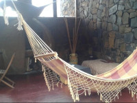 Hummingbird Hostel