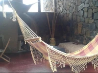Hummingbird Hostel 