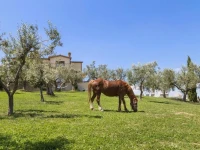 Agriturismo Le Bosche 