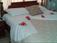 Pension Hibiscus