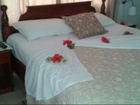 Pension Hibiscus 