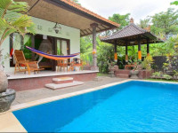 Bali Mimba
