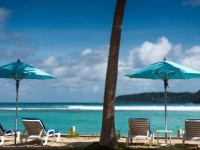 Coral Reef - Saint Barths 