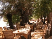 GГ®te Africain de Simal 