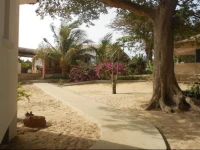 Le Saloum Saf Sap 