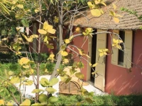 Lampsar Lodge 