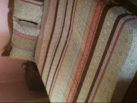 Le Tapis Vert 