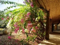 Bed and breakfast Keur Niaye 