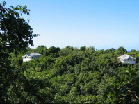 Firefly Cottages