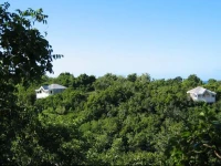 Firefly Cottages 