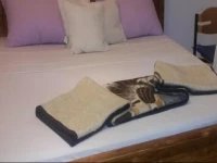 Residence Palmier Royal Hotel 