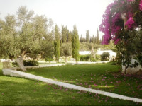 Darhabib