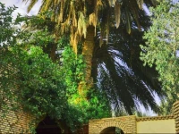 Villa Le Jasmin Tozeur 