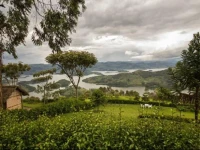 Arcadia Cottage Lake Bunyonyi 