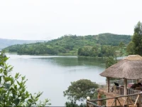 Bunyonyi View Gorilla Packers 