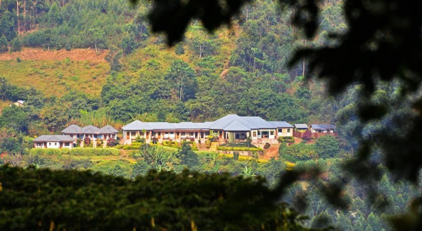 Silverback Lodge 