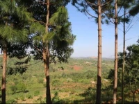Sina Village 