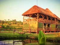 Roots Retreat and Camping Resort 