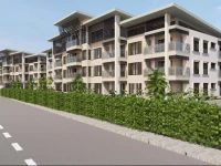 The Palms Apartments 