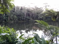 Colo-I-Suva Rainforest Eco Resort 