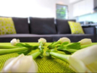 Apartment Heitiare