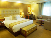 Jupiter International Hotel Bole