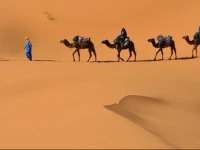 Bivouac Sabaku Tour 