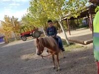 Le Vallon Vert - Club Equestre 