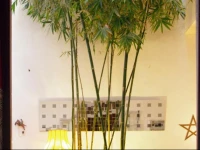 Riad House13 