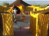 Bivouac Merzouga Tours 