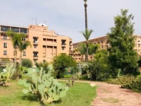 Hotel Harti 