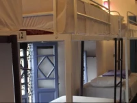 Purple Camel Hostel 