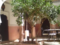 Riad Bousskri 