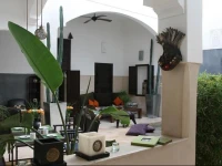 Riad Dar MassaГЇ 