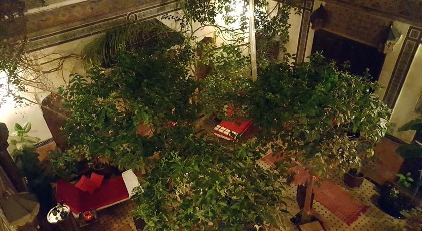 Riad JenaГЇ LAuthentique 
