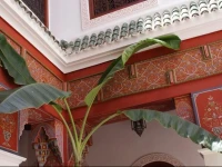 Riad Souad 