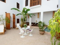 Riad UP 