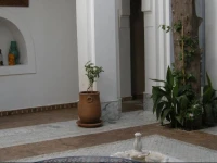 Ryad El Maarouf 
