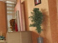 Hotel Oasis Tafilalet 3*
