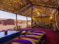 Ali & Saras Desert Palace 