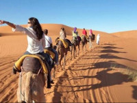 Bivouac Camel Trips