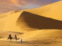 Camel Trek Bivouac 