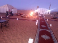 Camels House 