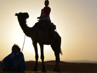 Desert Deep Camp