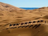 Morocco Camel Trek 