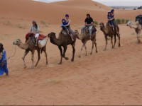 Nomad Bivouac